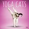 BrownTrout; Yoga Cats OFFICIAL | 2027 12 x 24 Inch (Hanging) Monthly Square Wall Calendar | Plastic-Free; Category:Wall Calendars; Image:2